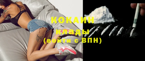 бошки Осинники