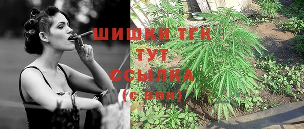 бошки Осинники