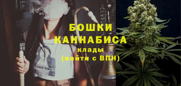 бошки Осинники