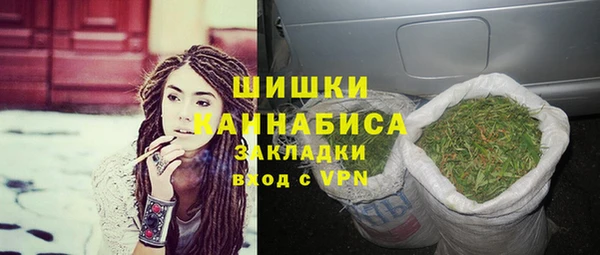 бошки Осинники
